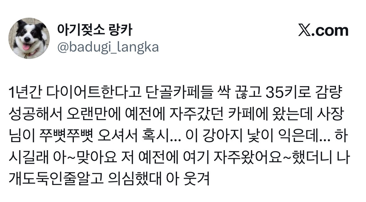 35키로-빼고-단골카페-갔다가-개도둑-의심받음-0-이미지