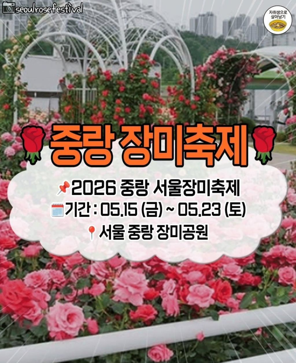 5~6월-전국-주요-축제들-2-이미지