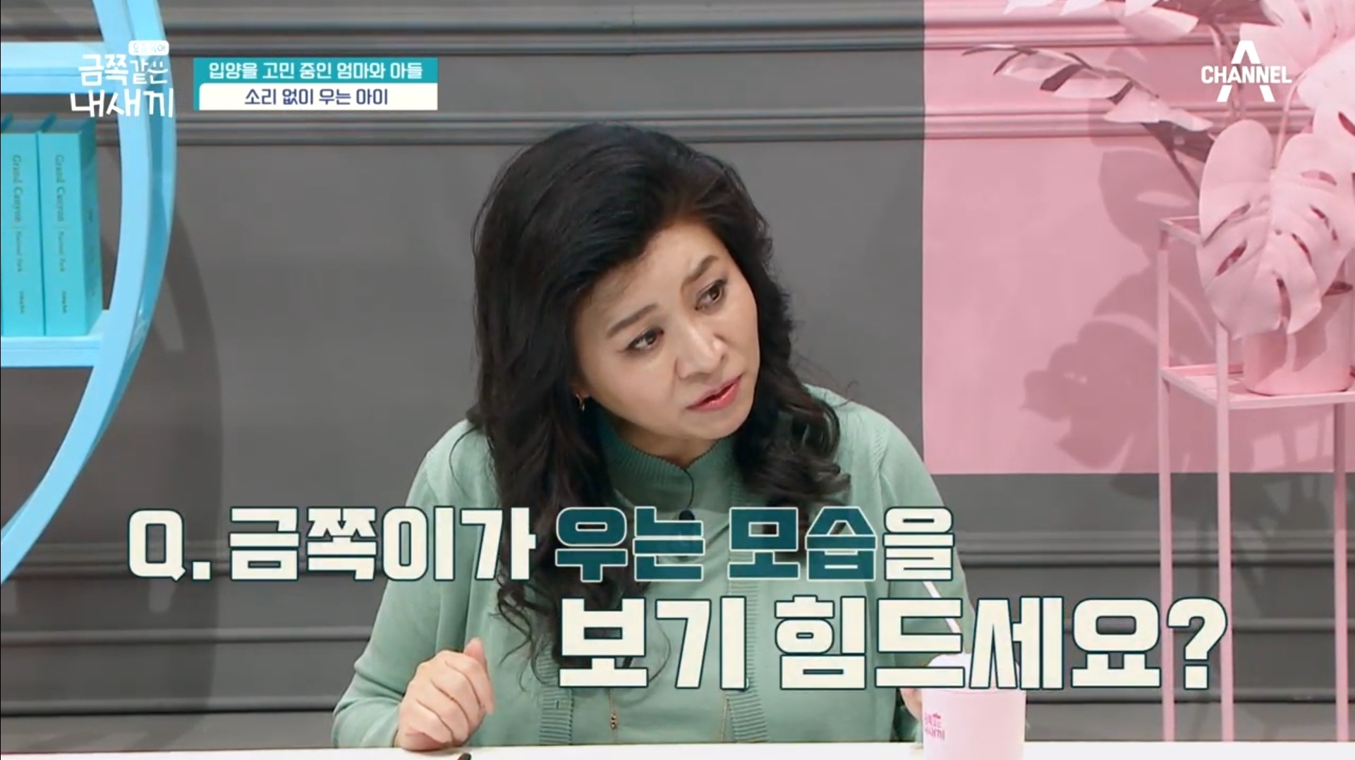 어제자-스튜디오-눈물바다-만든-금쪽같은-내새끼-사연.jpg-8-이미지