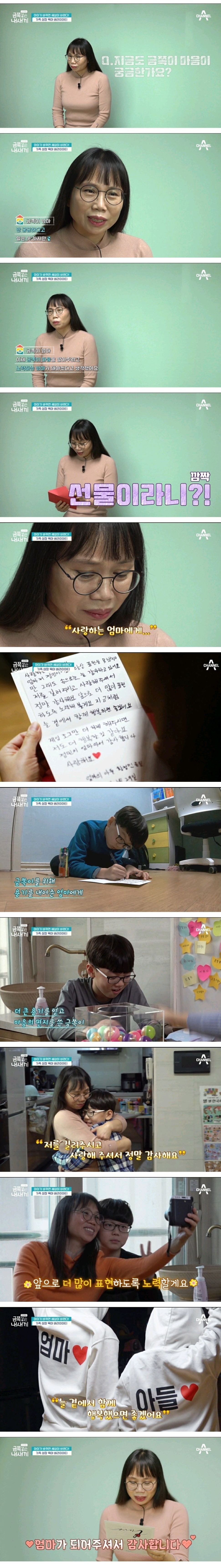 어제자-스튜디오-눈물바다-만든-금쪽같은-내새끼-사연.jpg-15-이미지