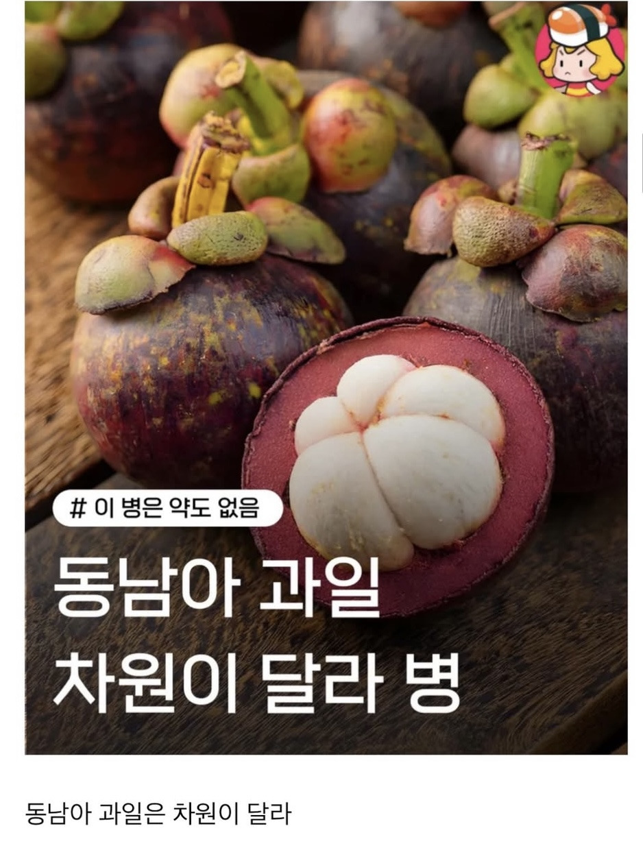 요즘-해외가서-음식먹을때-마다-한국-음식점-평균이-높다고-생각함-8-이미지