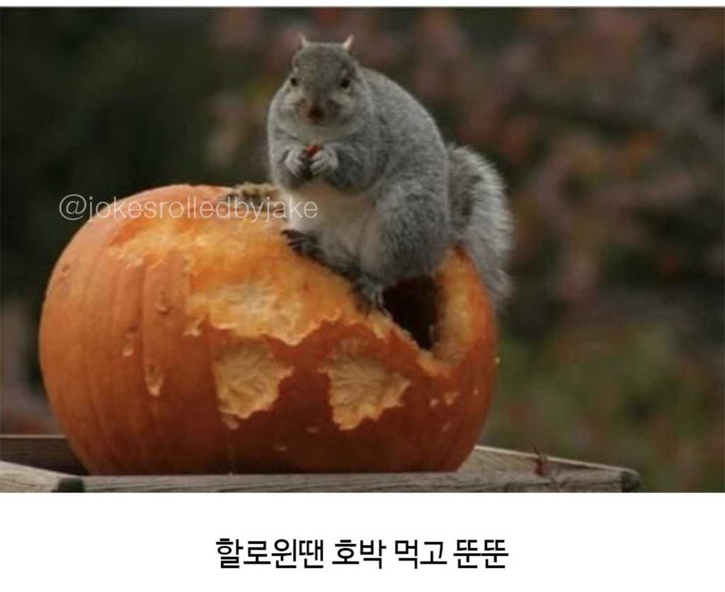 왠지-내-모습같네-6-이미지