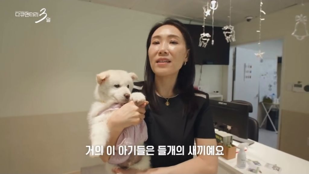 오늘-저녁-8시-30분에-다큐-3일-꼭-봐야하는-이유-3-이미지
