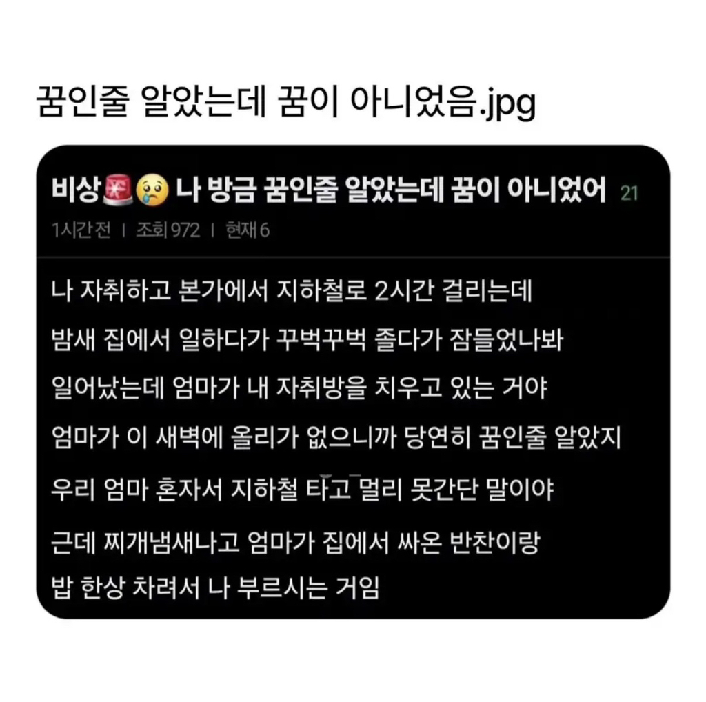 엄마가-첫차-타고-달려온-이유-0-이미지