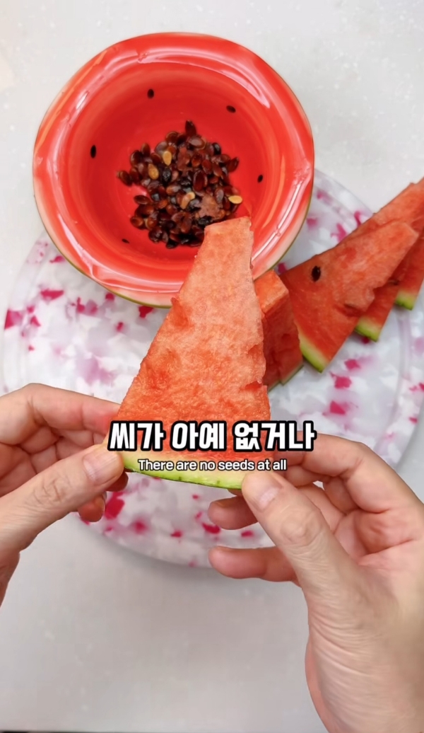 수박씨-이거-알고있었음?.jpg-6-이미지