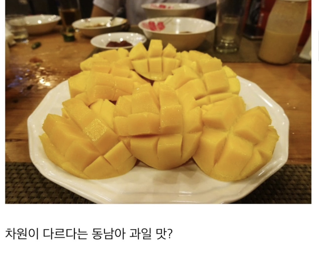 요즘-해외가서-음식먹을때-마다-한국-음식점-평균이-높다고-생각함-7-이미지