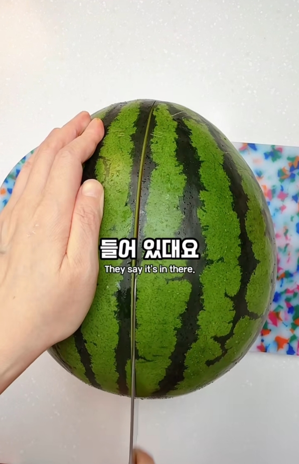 수박씨-이거-알고있었음?.jpg-1-이미지