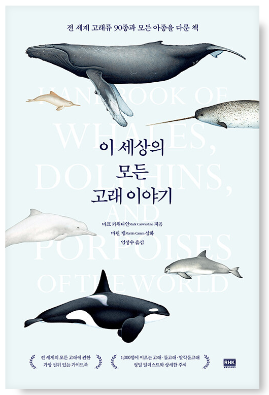 🌿여름,-여름,-여름…🌿-42-이미지