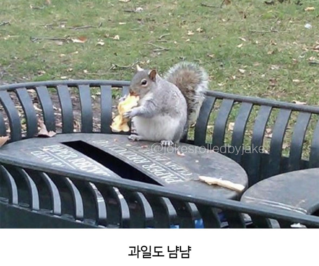 왠지-내-모습같네-5-이미지