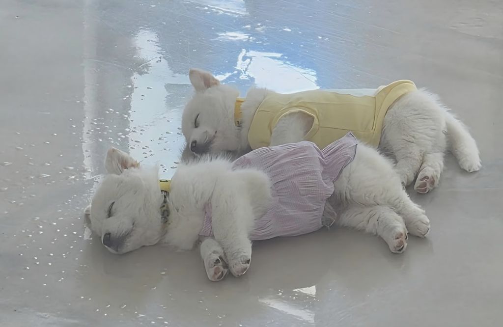 오늘-저녁-8시-30분에-다큐-3일-꼭-봐야하는-이유-0-이미지