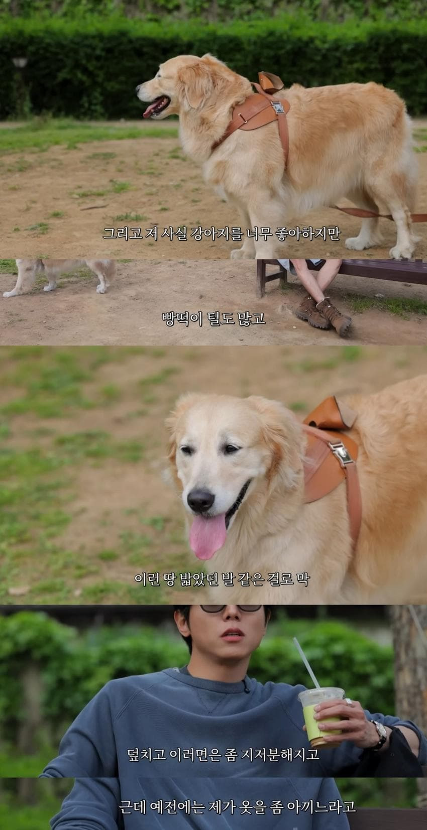 리트리버.gif-0-이미지