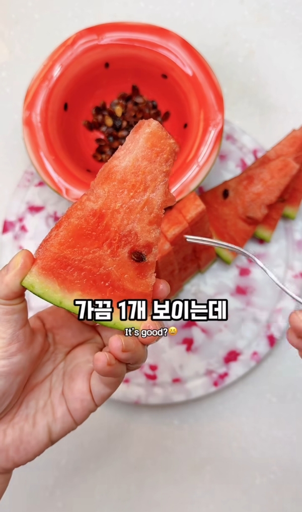 수박씨-이거-알고있었음?.jpg-7-이미지