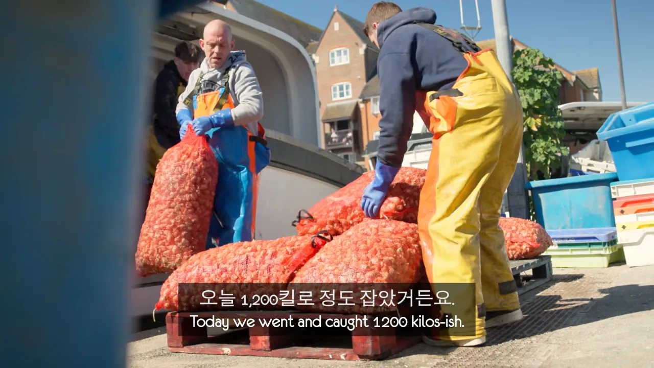 [영국남자]-골뱅이-잡는-영국-어부들에게-한국-골뱅이무침을-먹여봤다-0-이미지