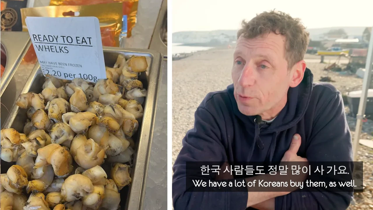 [영국남자]-골뱅이-잡는-영국-어부들에게-한국-골뱅이무침을-먹여봤다-25-이미지