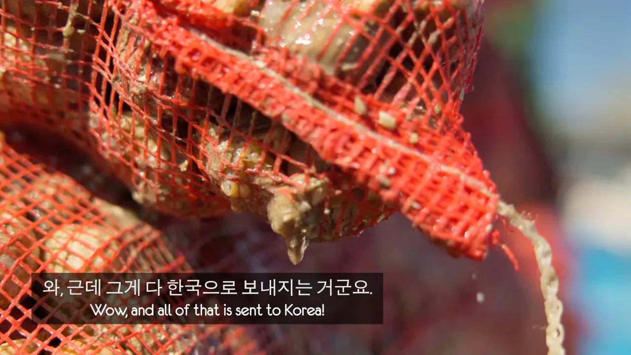 [영국남자]-골뱅이-잡는-영국-어부들에게-한국-골뱅이무침을-먹여봤다-2-이미지