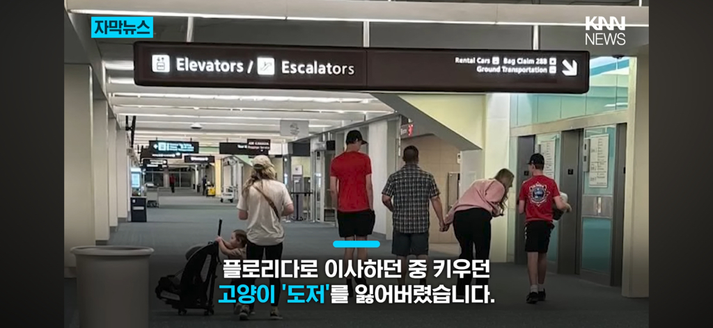 7년간-실종됐던-반려묘...‘이것’으로-기적의-재회?-3-이미지