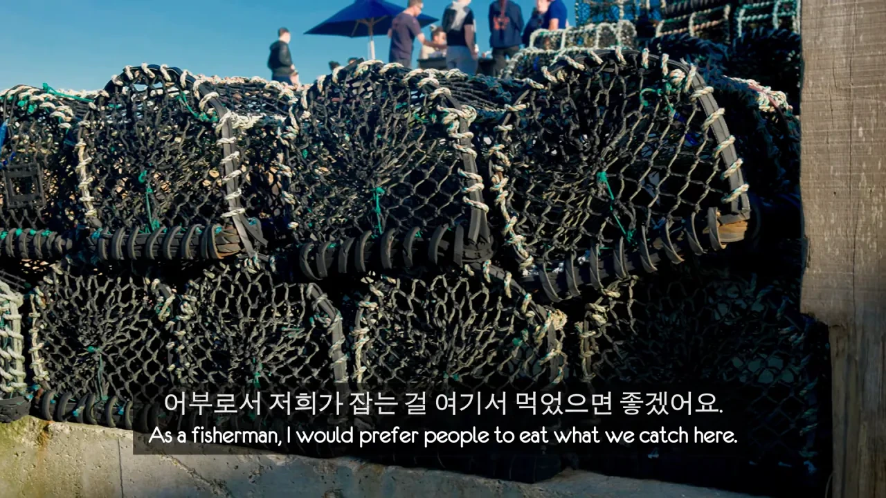 [영국남자]-골뱅이-잡는-영국-어부들에게-한국-골뱅이무침을-먹여봤다-63-이미지