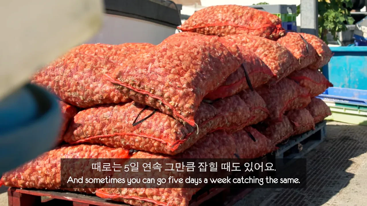 [영국남자]-골뱅이-잡는-영국-어부들에게-한국-골뱅이무침을-먹여봤다-1-이미지