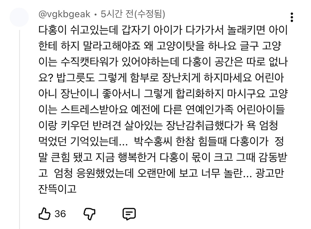 현재-반응-최악인-박수홍-유튜브-반려묘-근황-영상.jpg-54-이미지