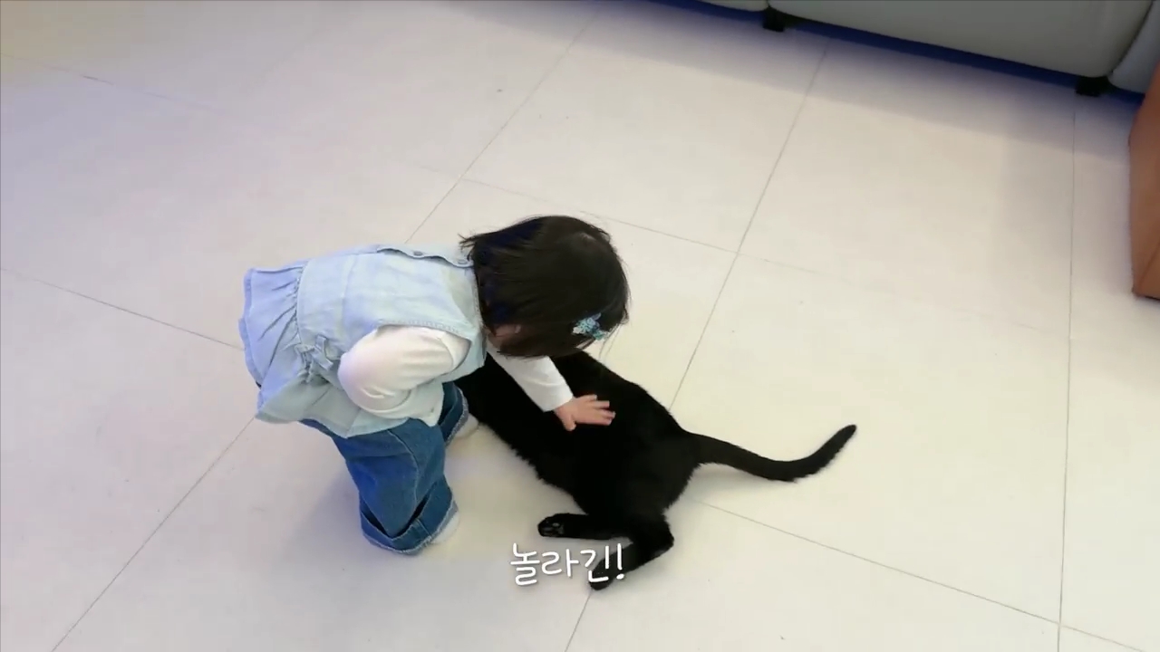 현재-반응-최악인-박수홍-유튜브-반려묘-근황-영상.jpg-8-이미지