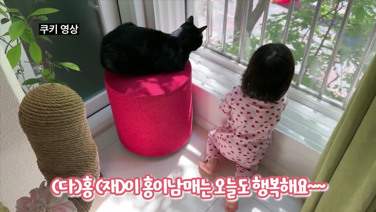 현재-반응-최악인-박수홍-유튜브-반려묘-근황-영상.jpg-57-이미지