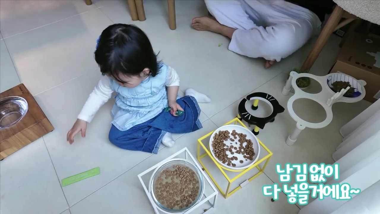 현재-반응-최악인-박수홍-유튜브-반려묘-근황-영상.jpg-18-이미지