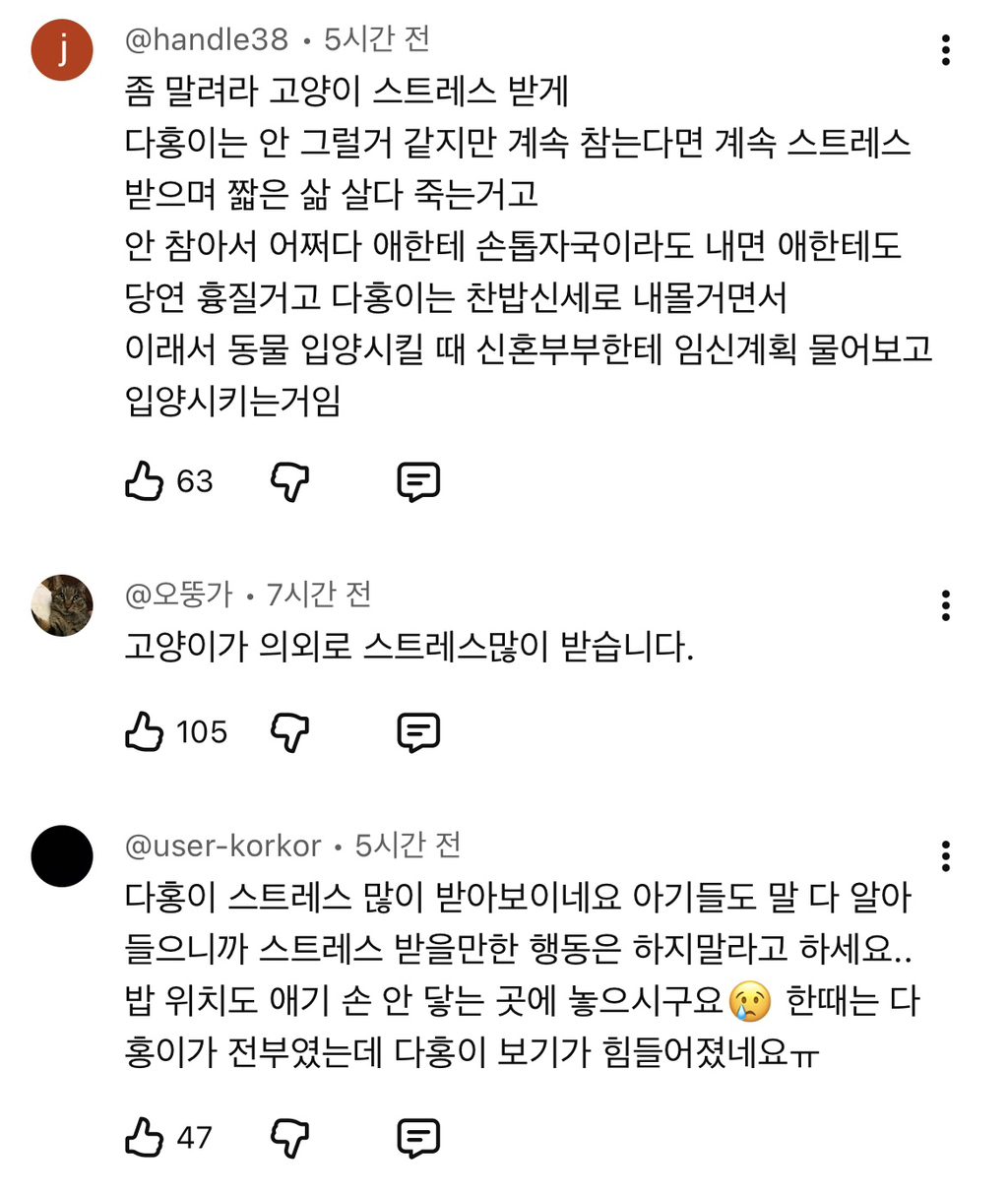 현재-반응-최악인-박수홍-유튜브-반려묘-근황-영상.jpg-46-이미지
