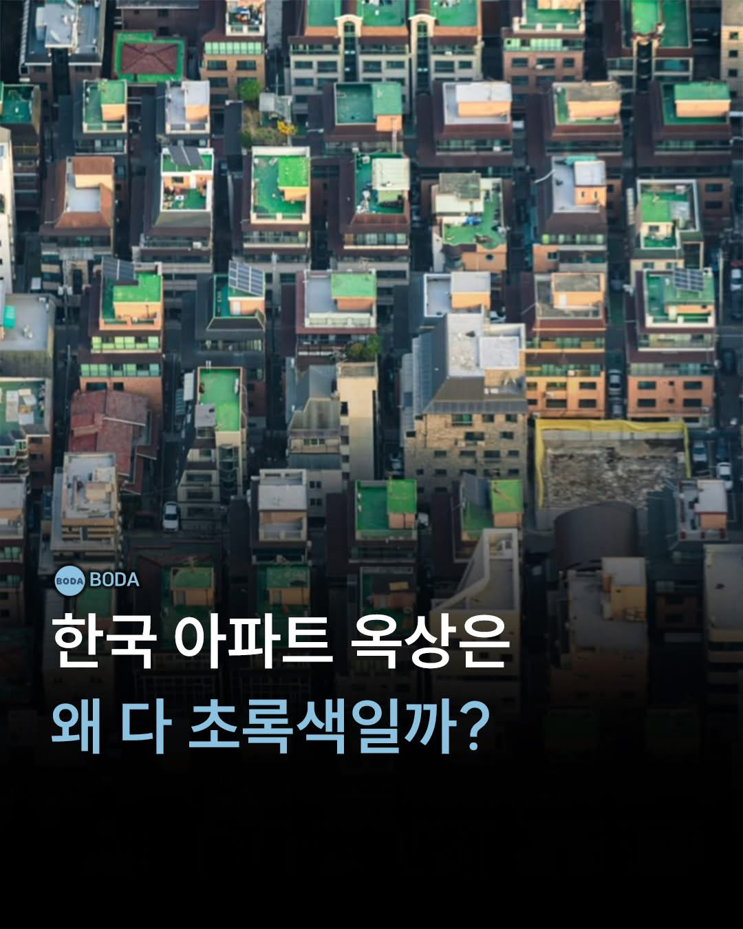 한국-아파트-옥상이-초록색인-이유-0-이미지