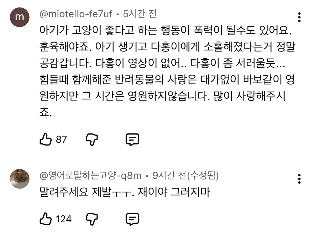 현재-반응-최악인-박수홍-유튜브-반려묘-근황-영상.jpg-47-이미지