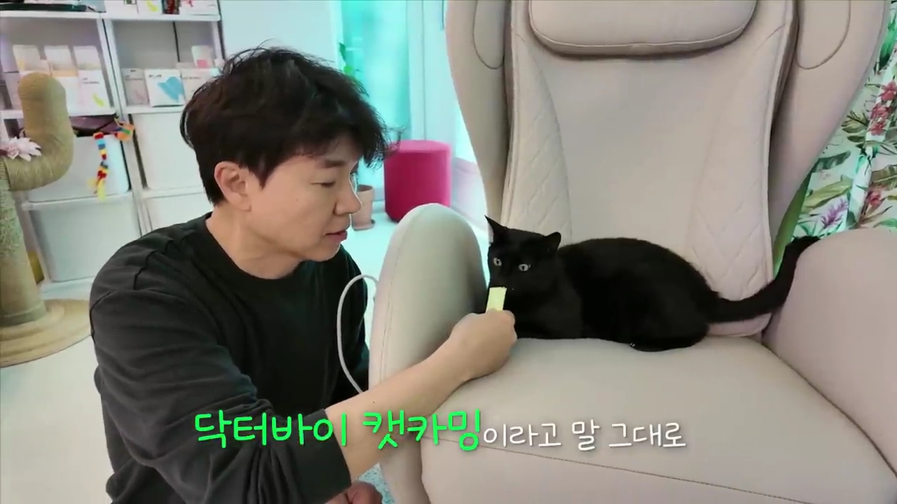 현재-반응-최악인-박수홍-유튜브-반려묘-근황-영상.jpg-35-이미지