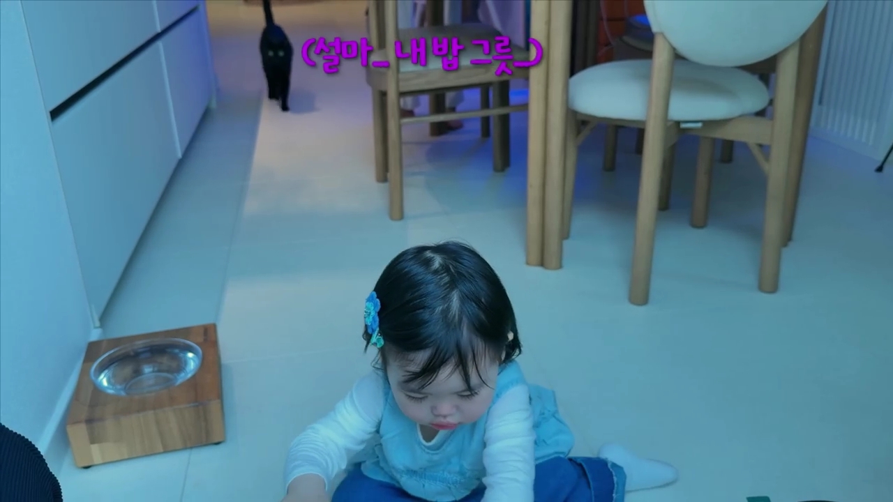 현재-반응-최악인-박수홍-유튜브-반려묘-근황-영상.jpg-23-이미지