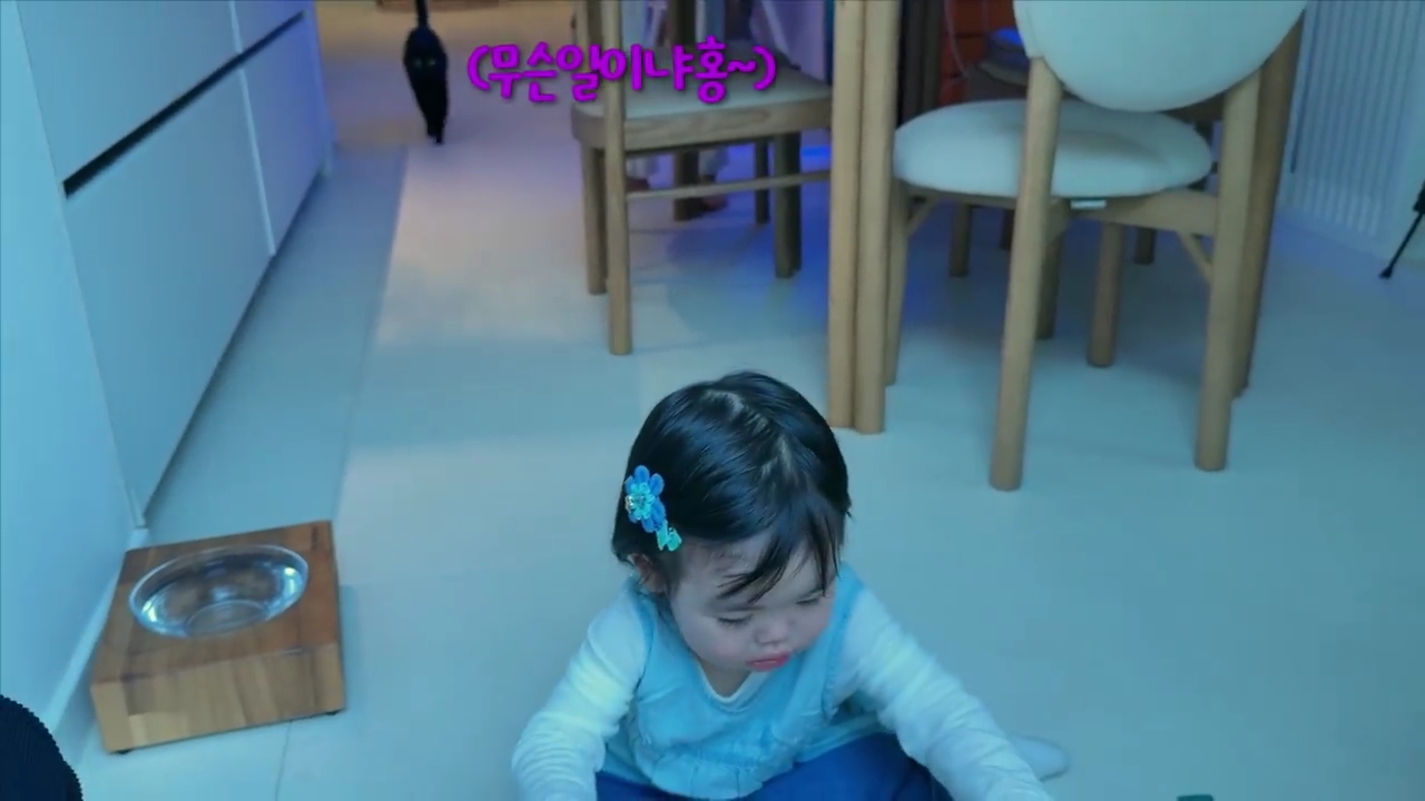 현재-반응-최악인-박수홍-유튜브-반려묘-근황-영상.jpg-22-이미지