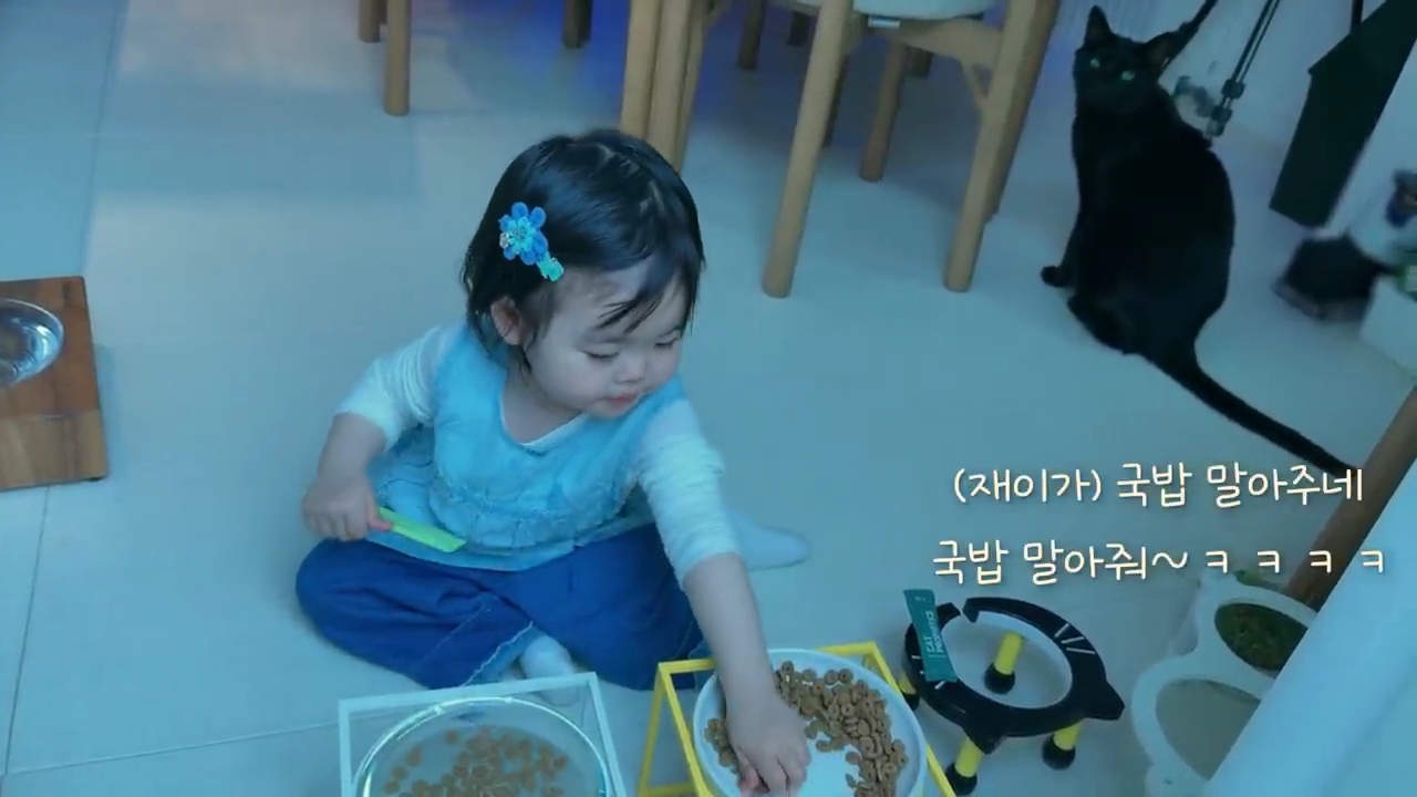 현재-반응-최악인-박수홍-유튜브-반려묘-근황-영상.jpg-27-이미지
