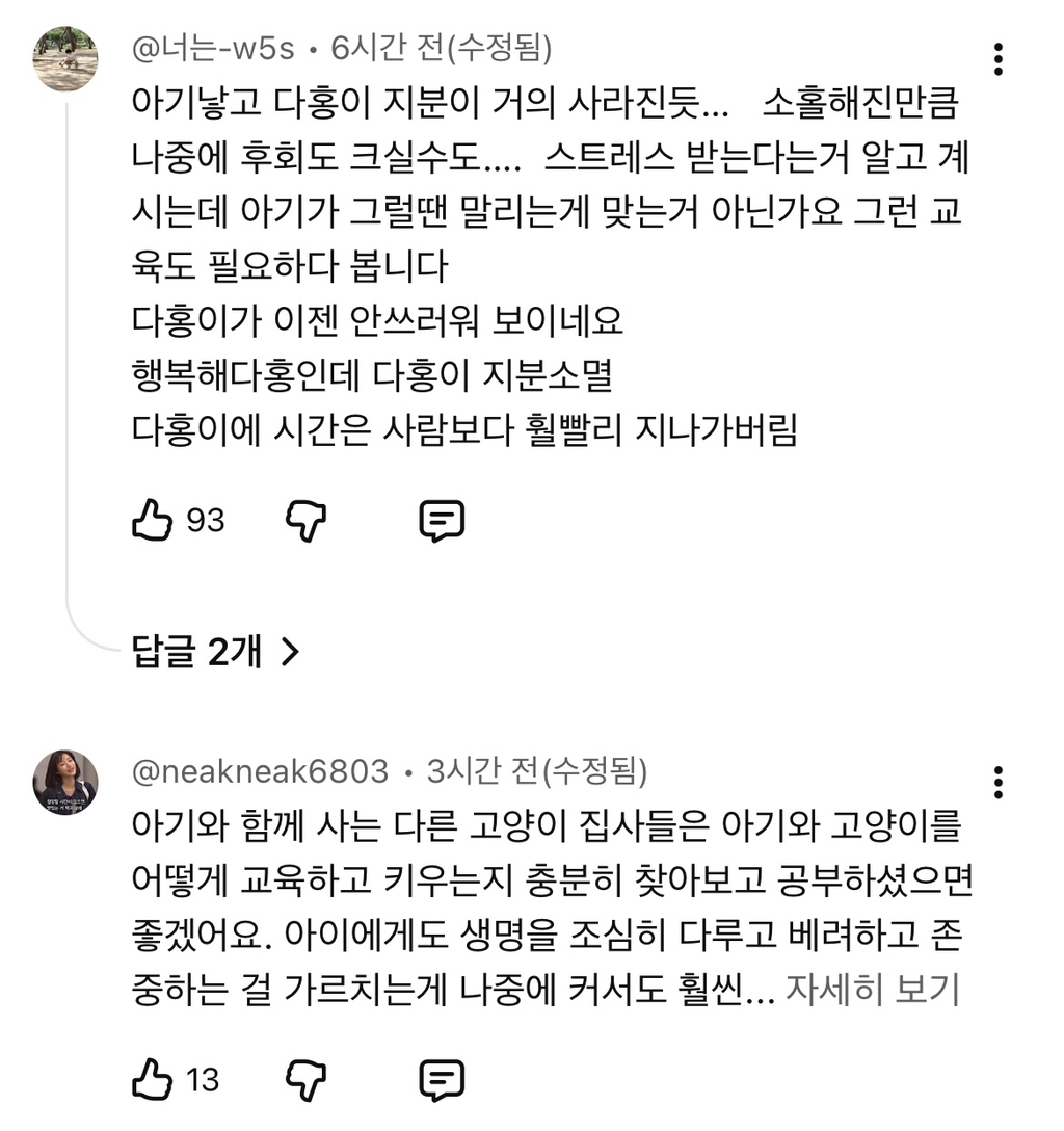 현재-반응-최악인-박수홍-유튜브-반려묘-근황-영상.jpg-48-이미지