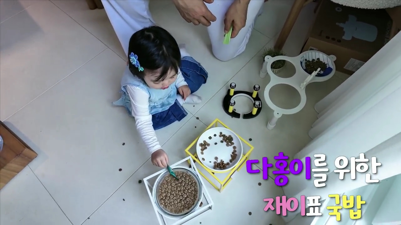 현재-반응-최악인-박수홍-유튜브-반려묘-근황-영상.jpg-21-이미지