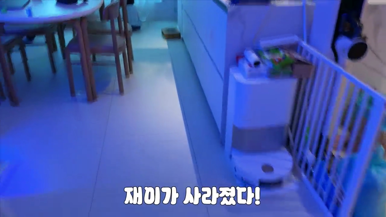 현재-반응-최악인-박수홍-유튜브-반려묘-근황-영상.jpg-13-이미지