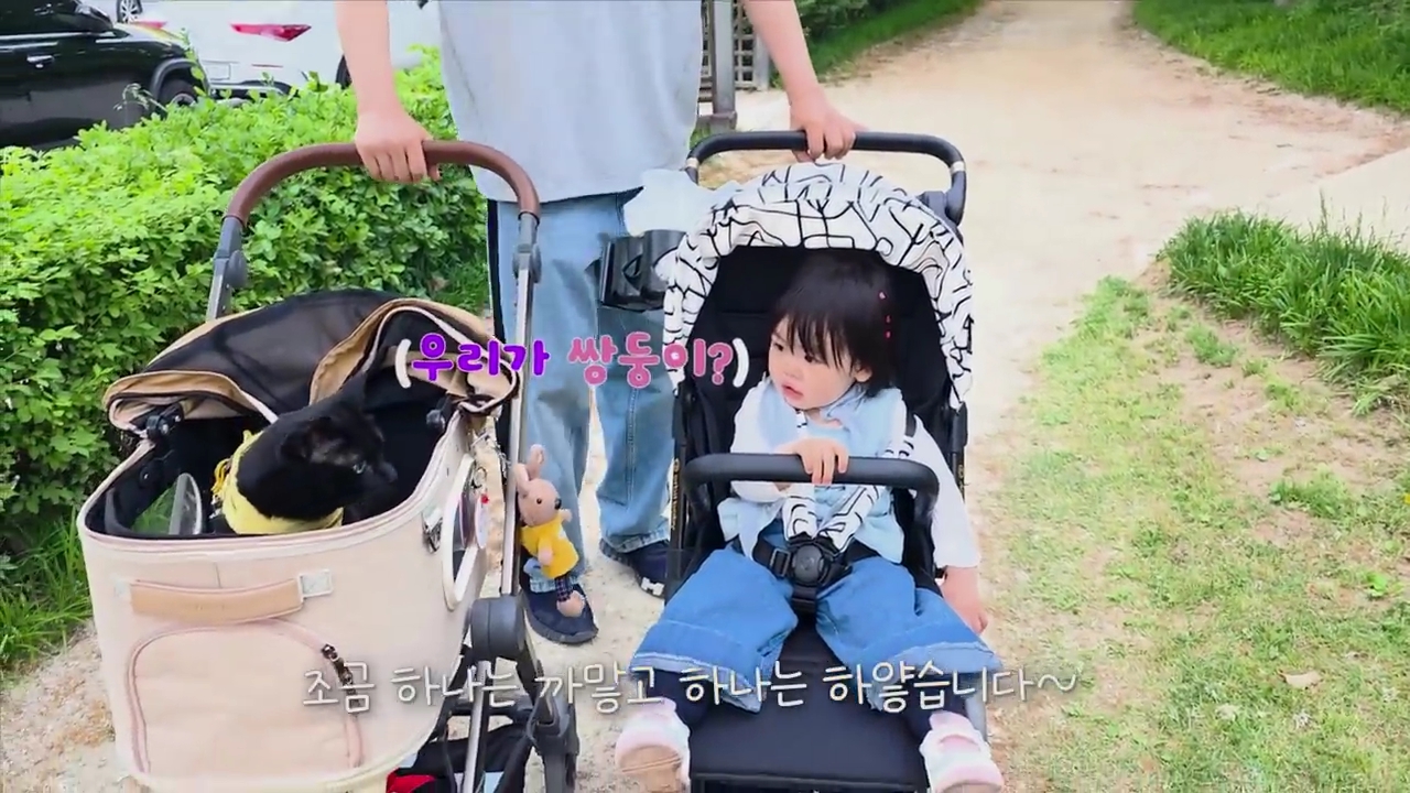현재-반응-최악인-박수홍-유튜브-반려묘-근황-영상.jpg-37-이미지