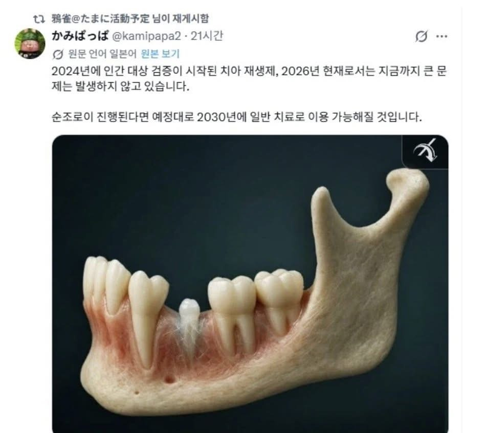 어쩌면-진짜-가능할-수-있겠다는-치료-0-이미지