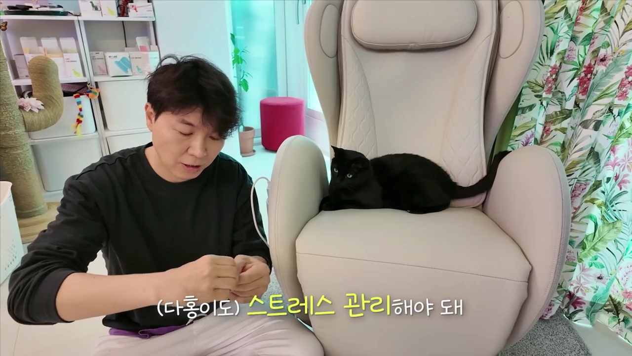 현재-반응-최악인-박수홍-유튜브-반려묘-근황-영상.jpg-34-이미지