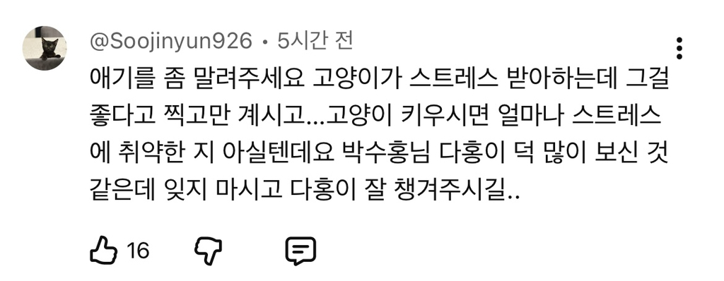 현재-반응-최악인-박수홍-유튜브-반려묘-근황-영상.jpg-51-이미지