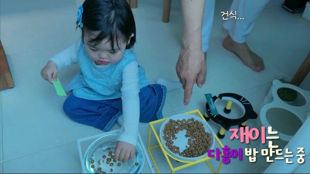 현재-반응-최악인-박수홍-유튜브-반려묘-근황-영상.jpg-16-이미지