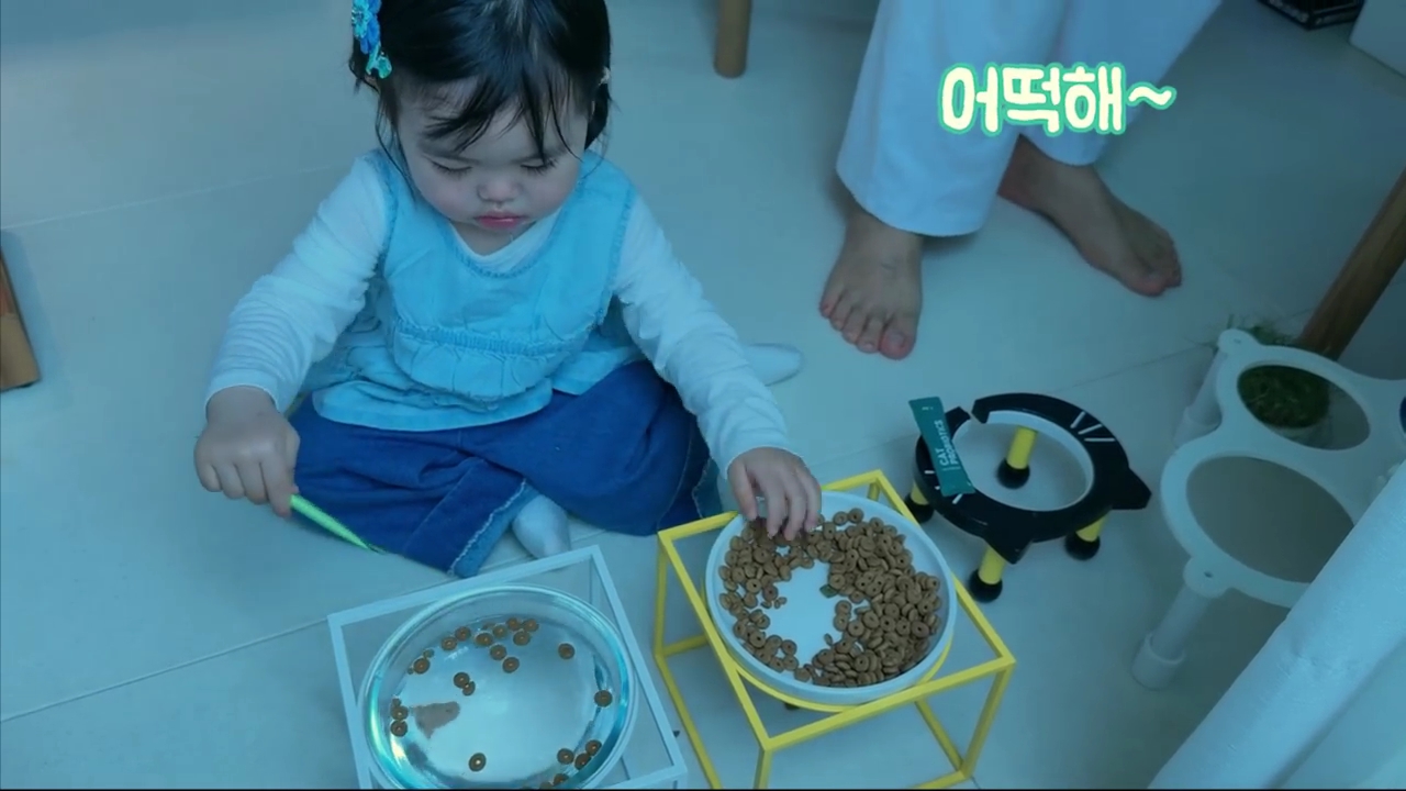 현재-반응-최악인-박수홍-유튜브-반려묘-근황-영상.jpg-17-이미지