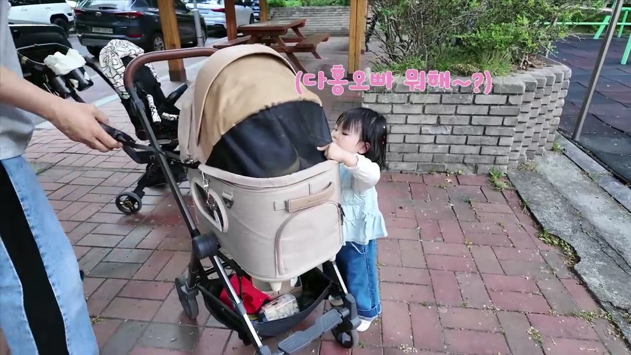 현재-반응-최악인-박수홍-유튜브-반려묘-근황-영상.jpg-39-이미지