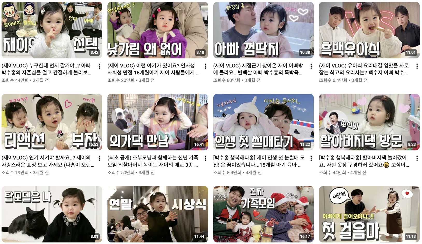 현재-반응-최악인-박수홍-유튜브-반려묘-근황-영상.jpg-2-이미지