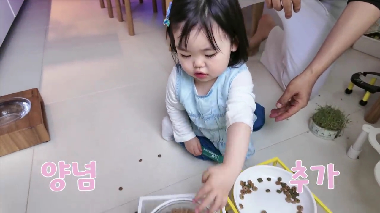 현재-반응-최악인-박수홍-유튜브-반려묘-근황-영상.jpg-20-이미지