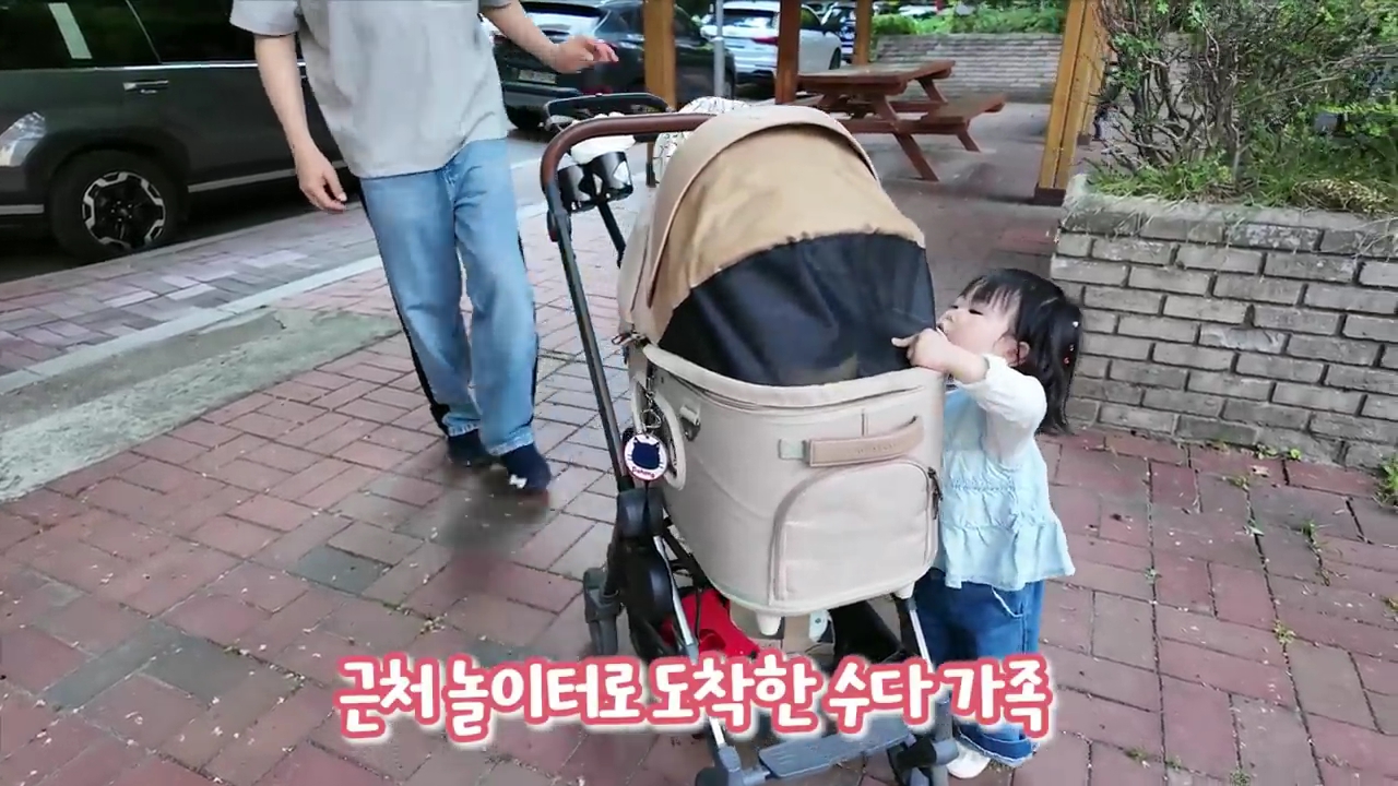 현재-반응-최악인-박수홍-유튜브-반려묘-근황-영상.jpg-38-이미지