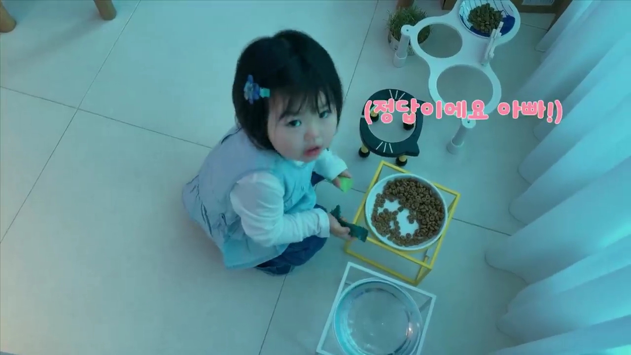 현재-반응-최악인-박수홍-유튜브-반려묘-근황-영상.jpg-15-이미지