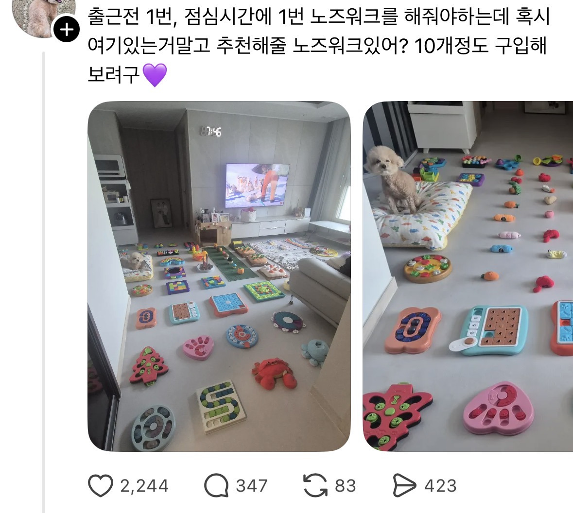 [스레드]-조금-당황스러운-강아지-노즈워크-상황-0-이미지