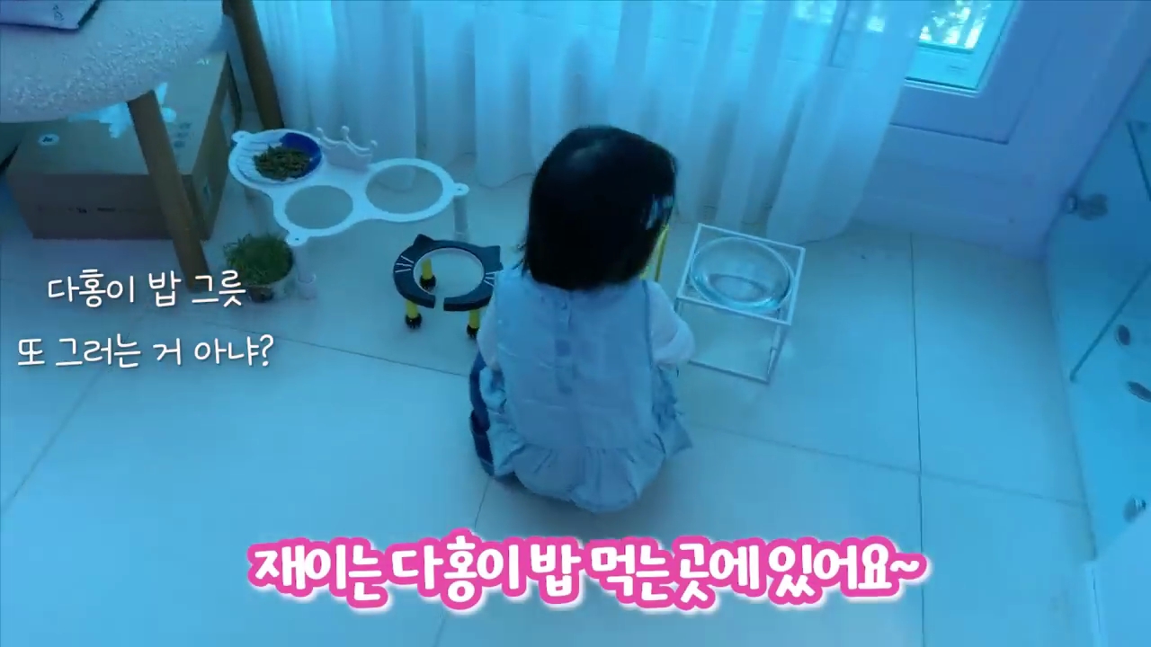 현재-반응-최악인-박수홍-유튜브-반려묘-근황-영상.jpg-14-이미지