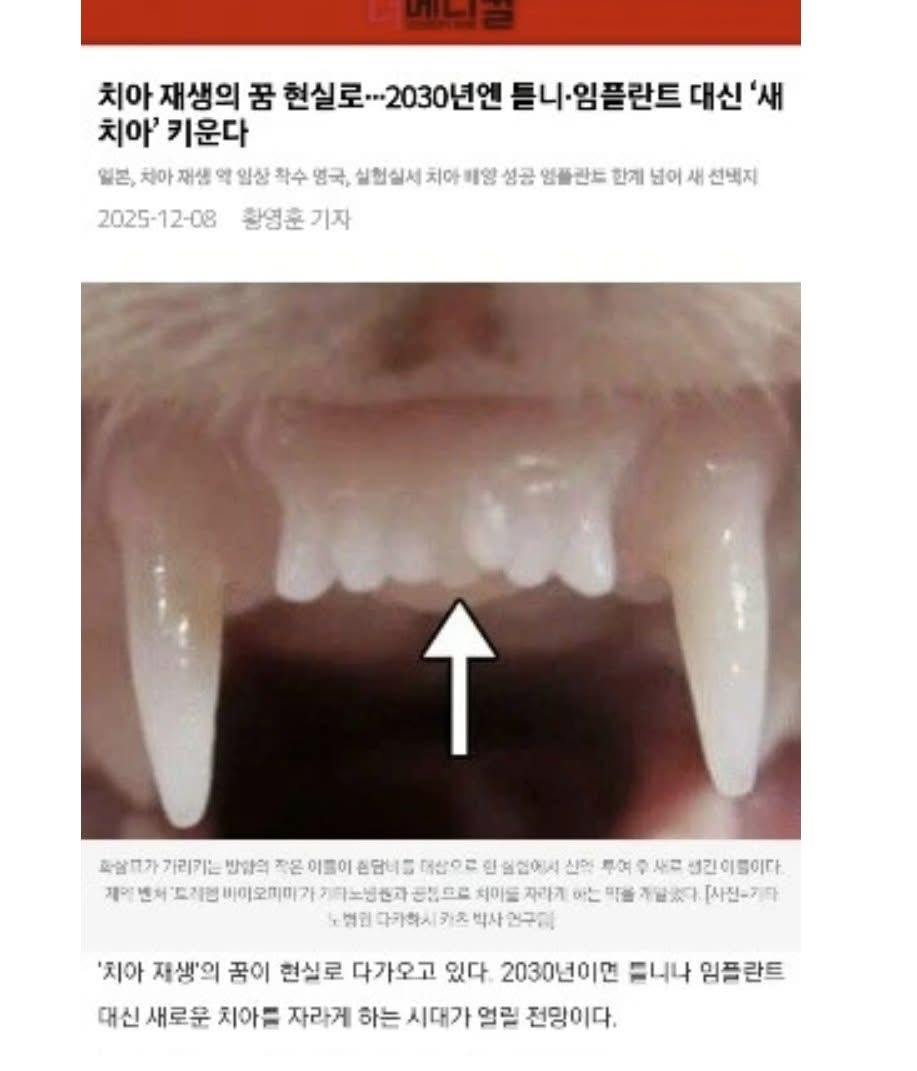 어쩌면-진짜-가능할-수-있겠다는-치료-2-이미지